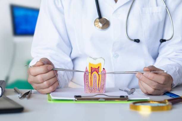 Best Broken Tooth Emergency  in Pimmit Hills, VA